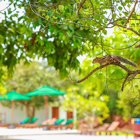 Oak Ray Elephant Lake Sigiriya Exterior photo