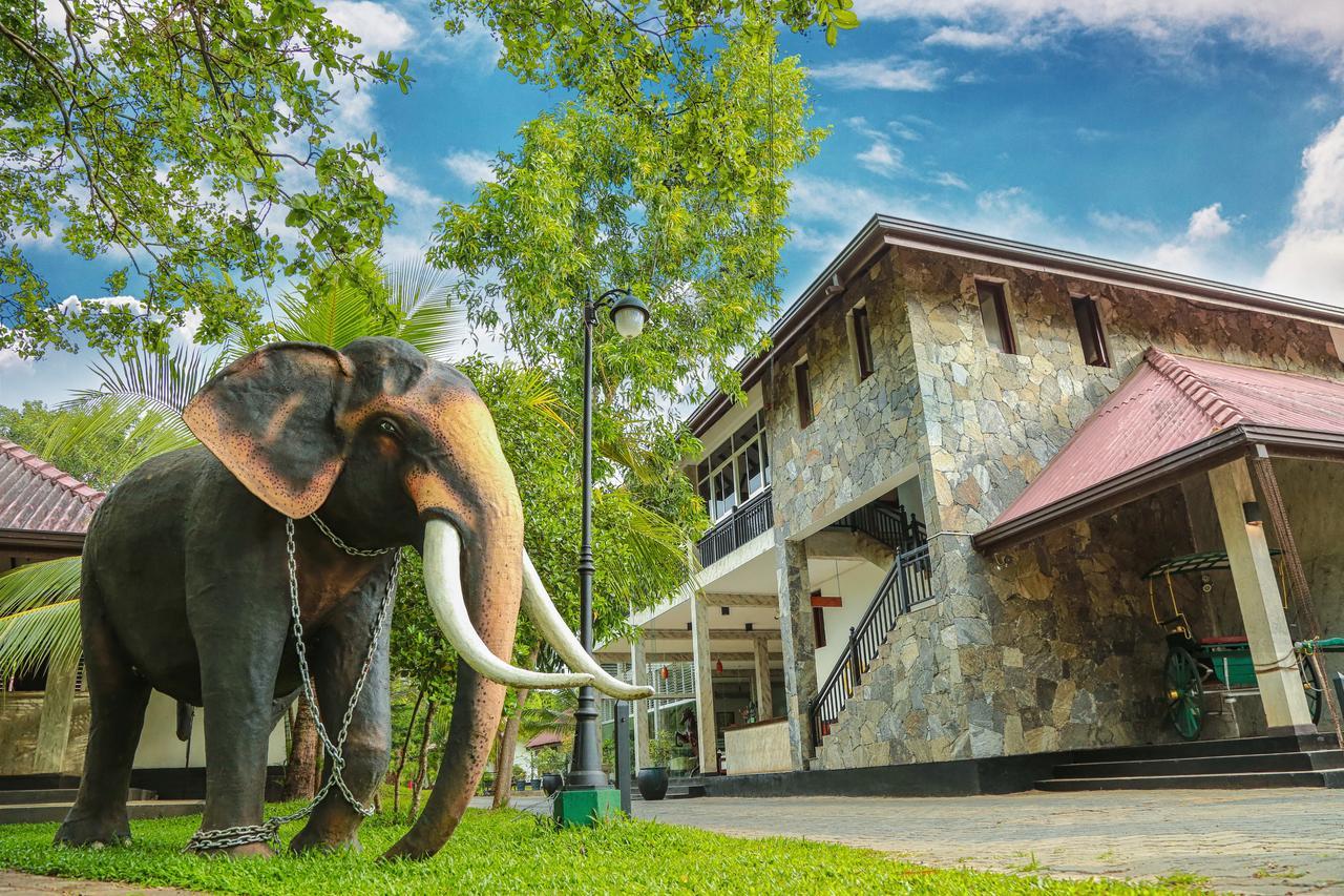 Oak Ray Elephant Lake Sigiriya Exterior photo